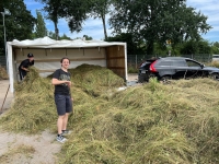 Vogelwiese Eisbaeren 2023